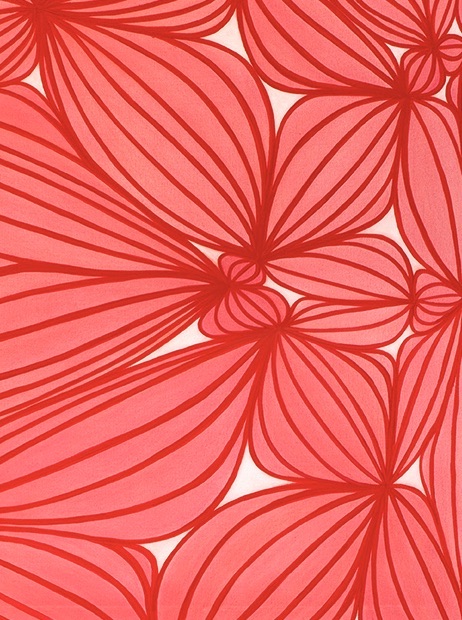 Profundizando lazos - Image 2